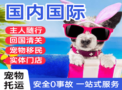 乌兰浩特空运国际宠物托运 【国